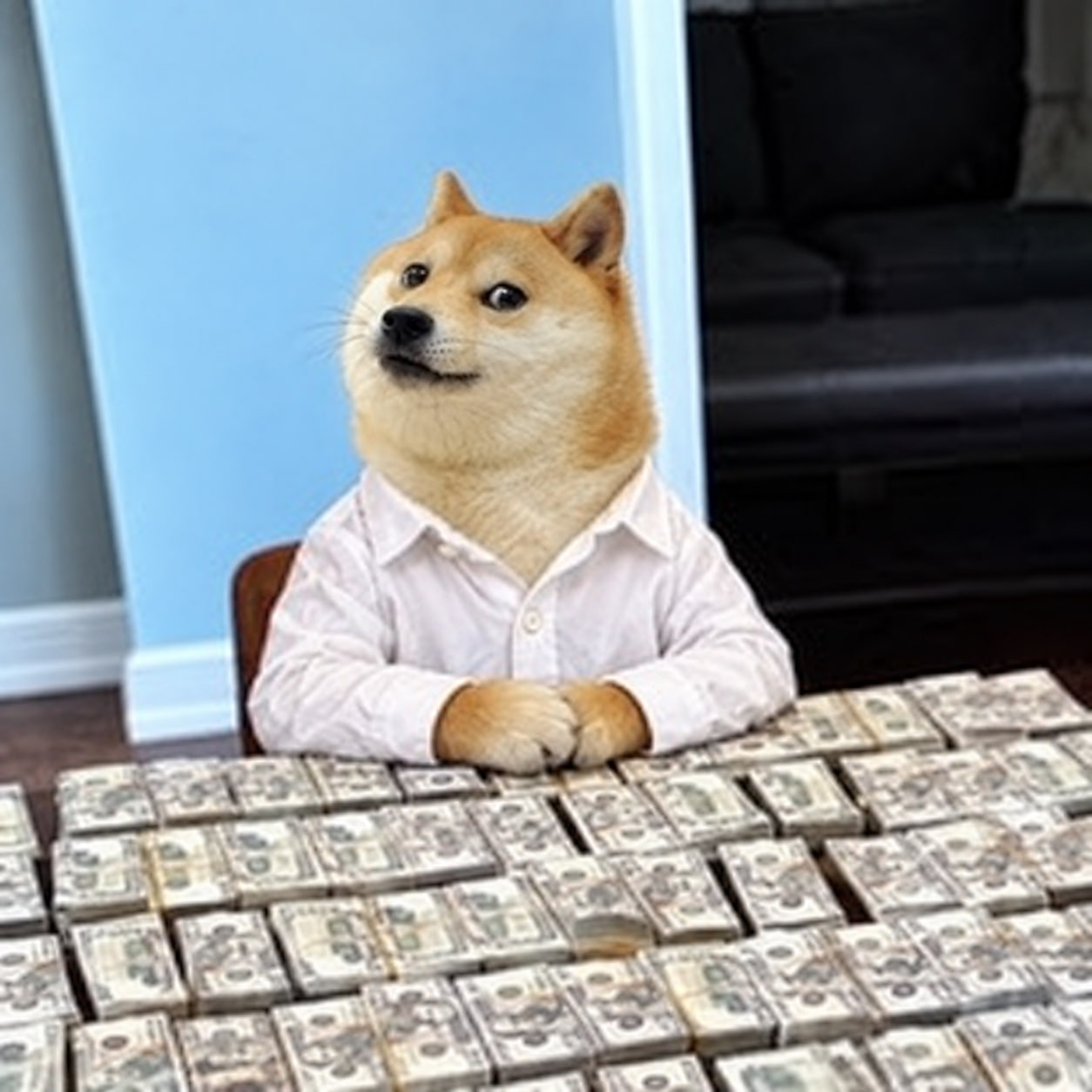 Doge in a white shirt behind a desk stacked with cash